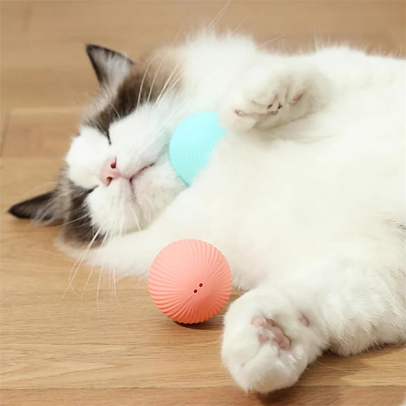 Interactive Electronic Pet Toy Ball