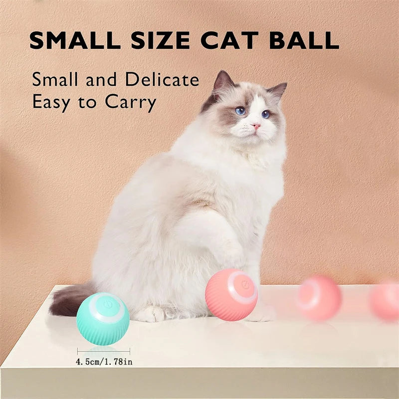 Interactive Electronic Pet Toy Ball