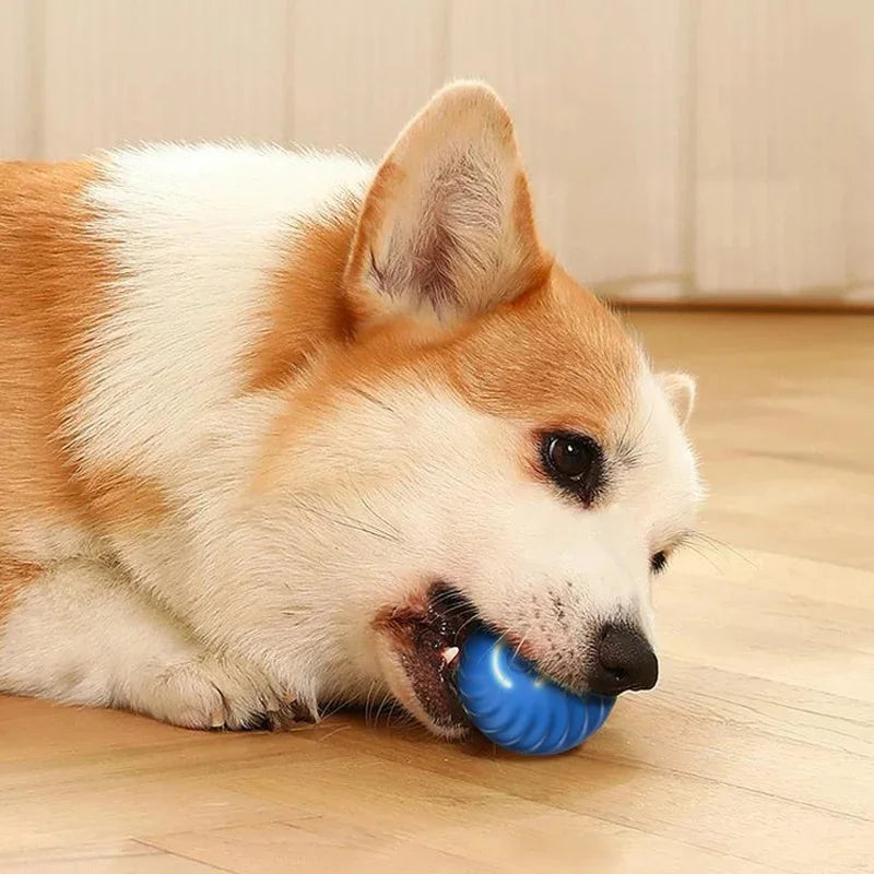 Interactive Electronic Pet Toy Ball