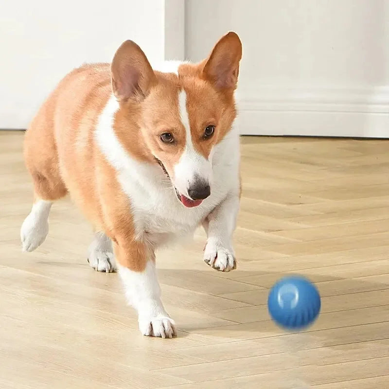 Interactive Electronic Pet Toy Ball