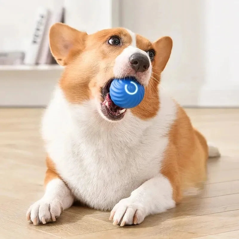 Interactive Electronic Pet Toy Ball