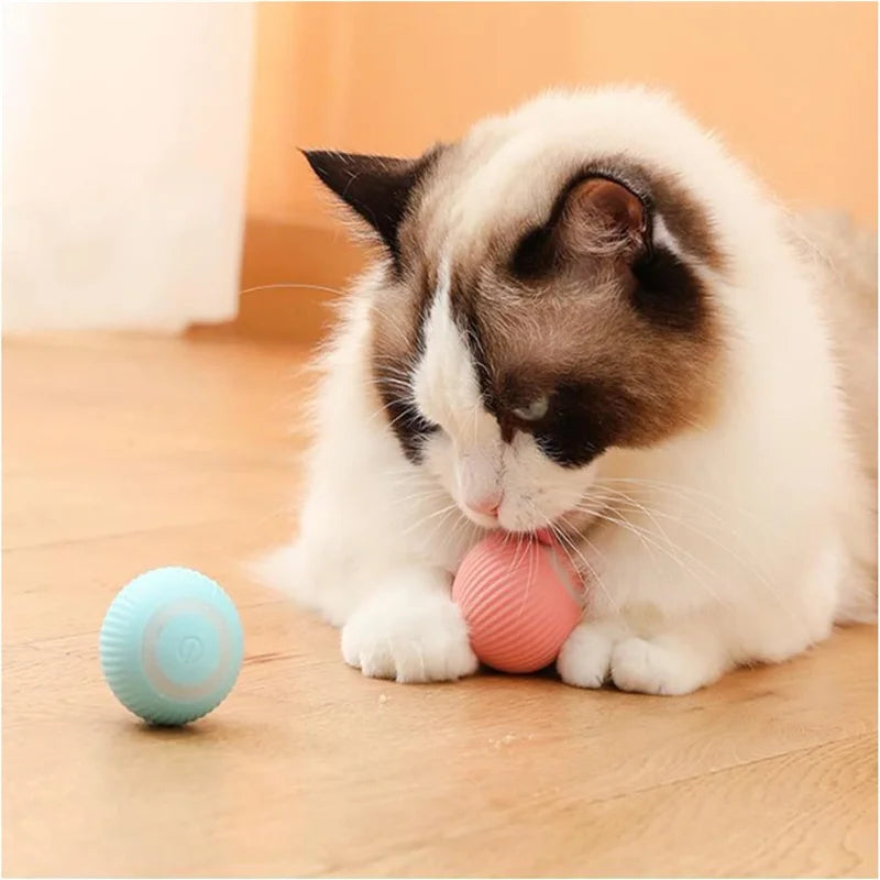 Interactive Electronic Pet Toy Ball