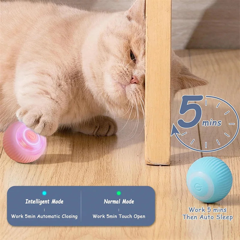 Interactive Electronic Pet Toy Ball